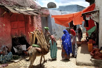 Busy alley in Harar with Merchants and a Donkey, Harar, Ethiopia