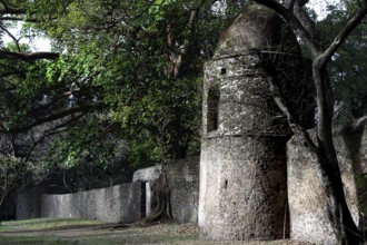 Stone tower with surrounding wall and trees at Fasilidas Bath in Gondar, Gondar, null