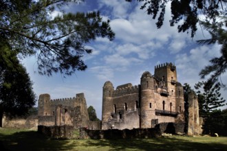 Castle surrounded by trees and wonderful sky in Gondar, Gondar, Amhara, Ethiopia