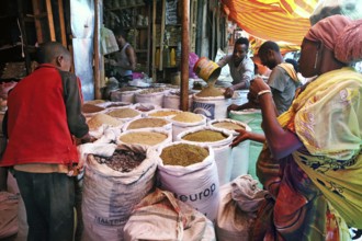 People shop at a lively spice market in Harar, surrounded by colorful spices, Harar, Harar,