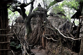Winding paths and traditional wooden and straw huts in a Konso village, Konso, region, Ethiopia