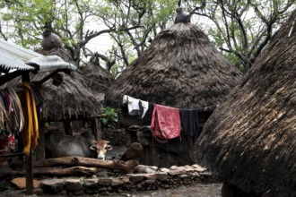 Huts with thatched roofs and suspended clothing in a lively Konso village, Konso, region, Ethiopia