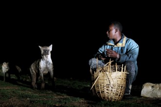 A man with a basket feeds a hyena at night, a tense encounter, Harar, Harar, Ethiopia