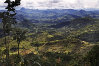 Wide view of a hilly landscape with thick forests and deep valleys in Konso, Konso, region,