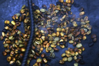 Coffee beans are traditionally roasted on a fire, lively atmosphere, Lalibela, Ethiopia