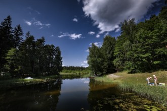 Quiet lake in Zemaitija National Park surrounded by thick forest, zero