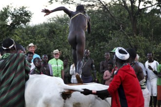 A man prepares to jump over the cattle, Turmi, Ethiopia