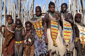 Group of Hamer girls in traditional clothing in front of a fence, Turmi, Ethiopia