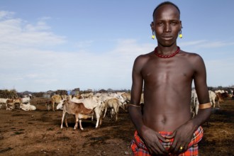 Man stands proudly in front of a herd of cattle in a Dessanech village, Omorate, Ethiopia