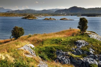 Geitøya archipelago island along Atlanterhavsveien with views of grasslands and the sea,