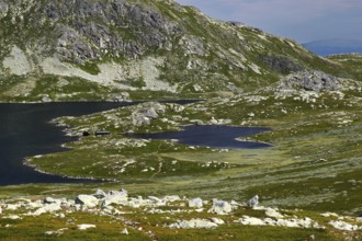 Idyllic landscape with lakes and green expanses in Hardangervidda, Hardangervidda, Gausdal, Norway