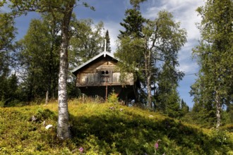 Typical wooden house in Telemark, surrounded by lush nature in Hardangervidda, Telemark, Norway