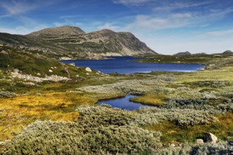 Mountainous landscape of Hardangervidda with blue lake under open sky, Hardangervidda, Innlandet,