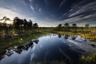 Winding landscape with reflecting water in the high moor of Viru, Viru, Lahemaa National Park,