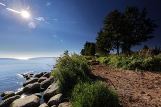 Sunlight breaks across the coast of Lake Peipu with lush vegetation in the foreground, Lake Peipus,