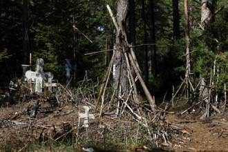 Mystical forest with cross structures and ritualistic atmosphere, Ristimägi, Hiiumaa, Estonia