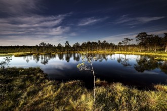 Viru moor in Lahemaa National Park with calm water and green surroundings, Lahemaa National Park,
