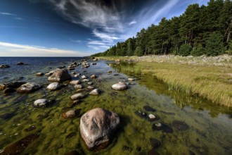 Rocky coast with clear water and a thick pine forest in the background on the Pärispea Peninsula,