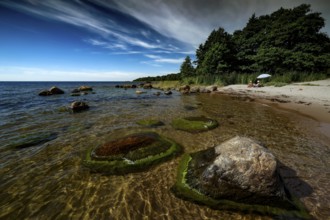 Rocky coast with wooded surroundings and clear blue sky on Juminda Peninsula, Kiiu, Aabla, Juminda