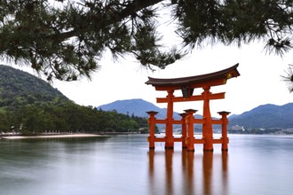 Torii of Itsukushima Shrine in water surrounded by mountains, Miyajima, Hiroshima, Japan