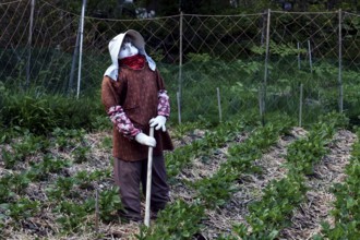 Fabric figure in a garden depicting rural work