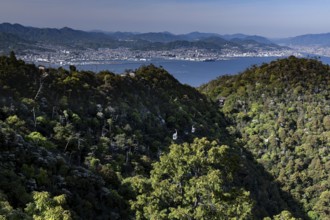View of the forests and coastal landscape from Mount Misen with a view of Hiroshima, Miyajima,