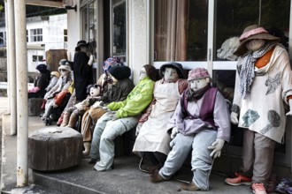 Ragdolls sit outside a building in Nagoroshimo, Nagoroshimo, Japan