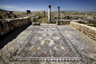 Ancient mosaic in the House of Dionysus and the Four Seasons in Volubilis, surrounded by ruins and