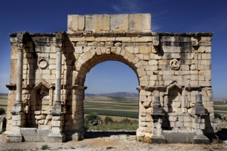 Preserved Roman triumphal arch with ancient stone reliefs in the ruins of Volubilis, Volubilis,