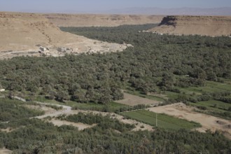 Extensive views of the green Ziz Valley surrounded by barren mountains