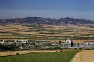 Ruins of Volubilis lie under a clear sky, surrounded by fields and hills. The view stretches across
