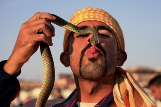 Snake charmer holding a snake in his face on Djemaa El Fna in Marrakech, Marrakesh, null, Morocco