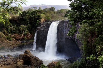 Mighty waterfall surrounded by lush vegetation, Tisissat, Ethiopia