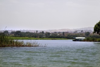 Quiet waterfront area in Lake Tana near Blue Nile Outlet, Tana Lake, Amhara, Ethiopia