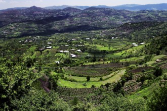 Green, hilly landscape between Awash and Harar with lush vegetation, Awash, Afar, Ethiopia