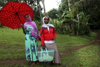 Two woman in colorful clothes stand with umbrellas on a path in a green landscape, Yirga Alem,