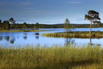 A peaceful lake landscape in Lapland with still waters and blue skies surrounded by untouched
