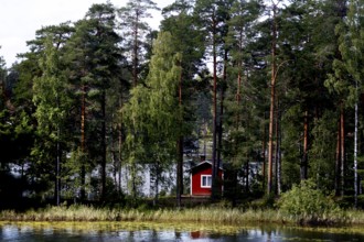 Wooden cabin hidden in dense forest area near Punkaharju, Punkaharju, Finland