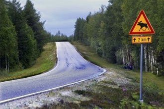 Empty country road with elk warning sign in quiet forest landscape, Lapland, Finland
