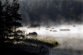 Misty lake landscape in Lapland with trees on the shore, Lapland, Finland