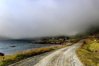Foggy road on Vestvågøy runs along the coast, Vestvågøy, Lofoten, Norway
