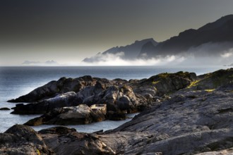 Rough coastal landscape in fog in Vestvågøy, Neslandsveien, Vestvågøy, Lofoten