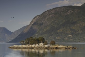 Small island in Lustrafjord surrounded by calm water and high mountains, Lustrafjord, Norway