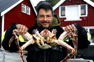 Man keeps a king crab in front of red wooden houses in N Sarnes, N Sarnes, zero