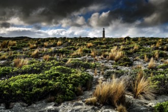 A lighthouse stands out in rugged vegetation under a dramatic sky near Cape du Couedic, Kangaroo