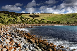 The rocky coastline of Cape Willoughby with green fields and blue sea, Kangaroo Island, South
