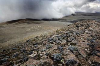 View from Tulu Dimtu with dramatic cloudy sky and wide landscape, Bale Mountains, Sanetti Plateau,