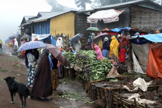Lively marketplace in Rira with colorful umbrellas and rainy atmosphere, Rira, Bale Mountains,
