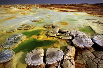 Mystical crater landscape in Dallol with vivid green water basins, Dallol, Afar region, Ethiopia