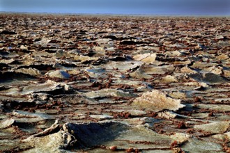 Extensive desert landscape with salt formations, Dallol, Asale, Ethiopia